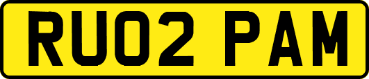 RU02PAM
