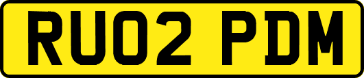 RU02PDM