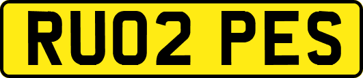RU02PES