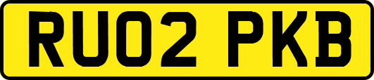 RU02PKB