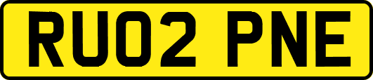 RU02PNE