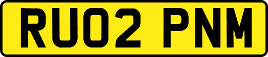RU02PNM