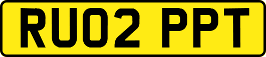 RU02PPT