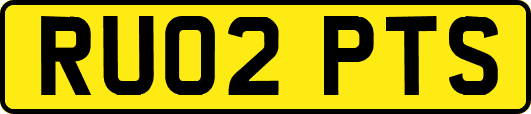 RU02PTS