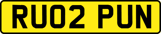 RU02PUN