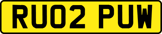 RU02PUW