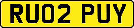 RU02PUY