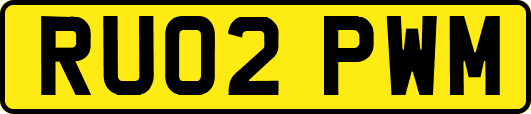 RU02PWM