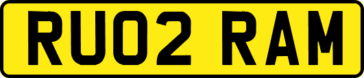 RU02RAM