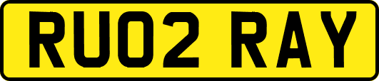 RU02RAY