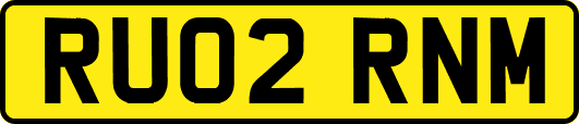 RU02RNM