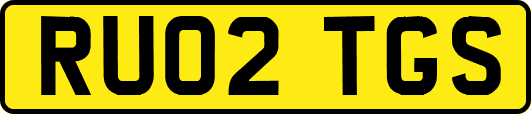 RU02TGS