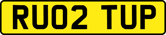 RU02TUP