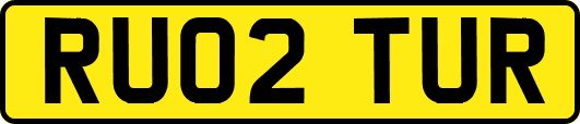 RU02TUR