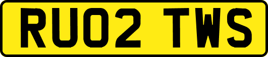 RU02TWS