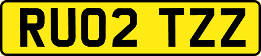 RU02TZZ