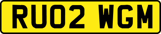 RU02WGM
