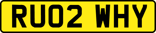 RU02WHY