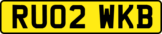RU02WKB