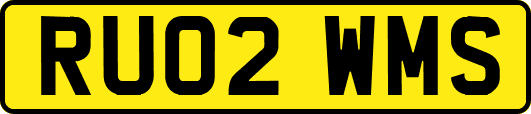 RU02WMS
