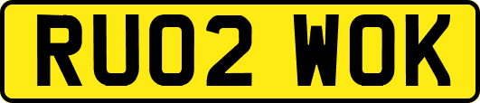 RU02WOK