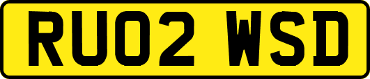 RU02WSD