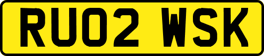 RU02WSK