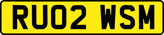 RU02WSM