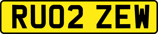 RU02ZEW