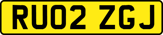 RU02ZGJ