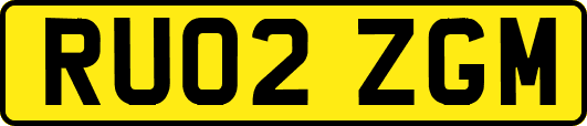 RU02ZGM