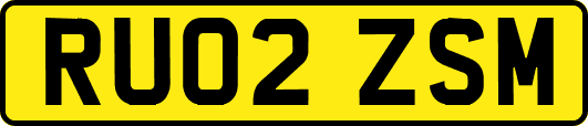 RU02ZSM