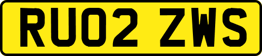 RU02ZWS