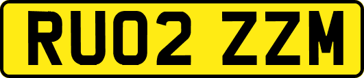 RU02ZZM