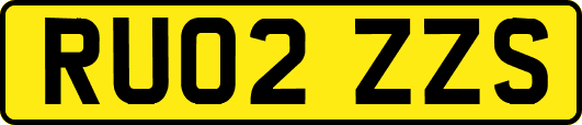 RU02ZZS