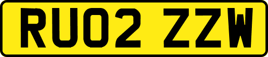 RU02ZZW