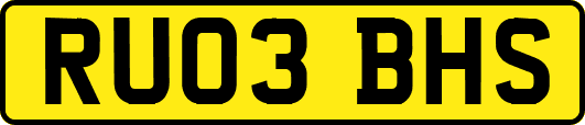 RU03BHS