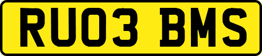 RU03BMS