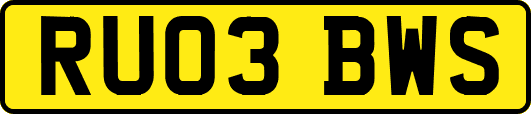 RU03BWS
