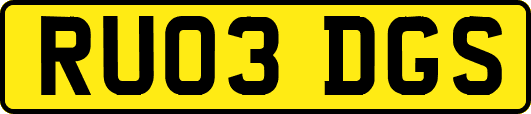 RU03DGS