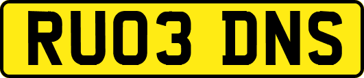 RU03DNS