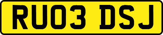 RU03DSJ