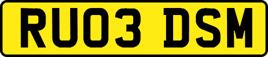 RU03DSM