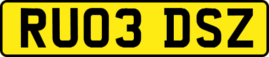 RU03DSZ