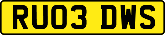 RU03DWS
