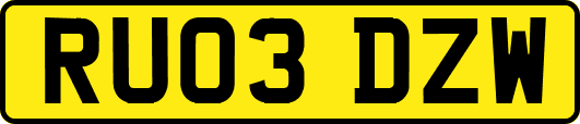 RU03DZW