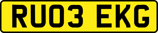 RU03EKG