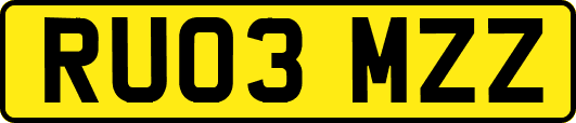 RU03MZZ
