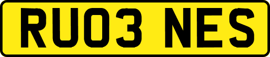 RU03NES