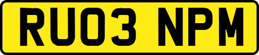 RU03NPM